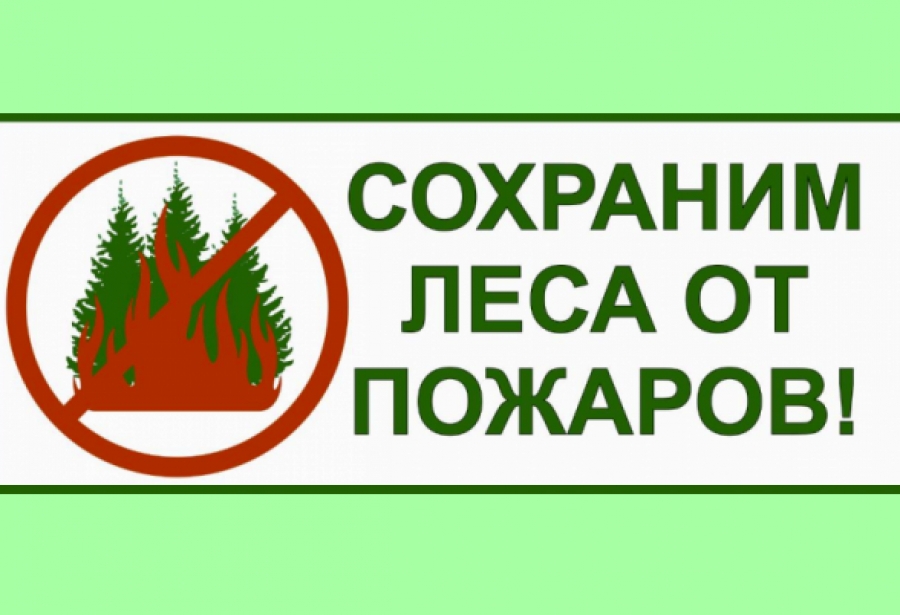 Вместе сохраним леса от пожаров.