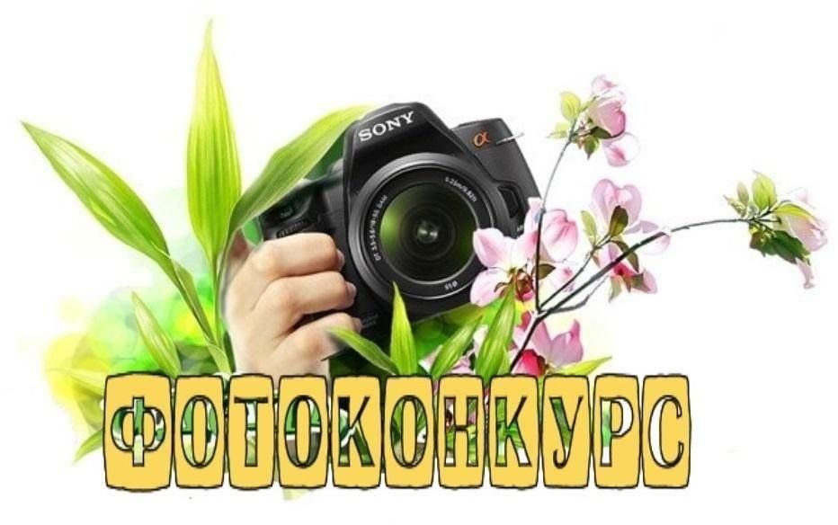 Первоцветы Байкальской Сибири – сохраним красоту природы!.