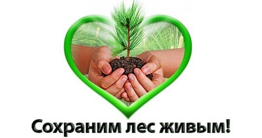 Педагог школы стала победителем регионального конкурса.